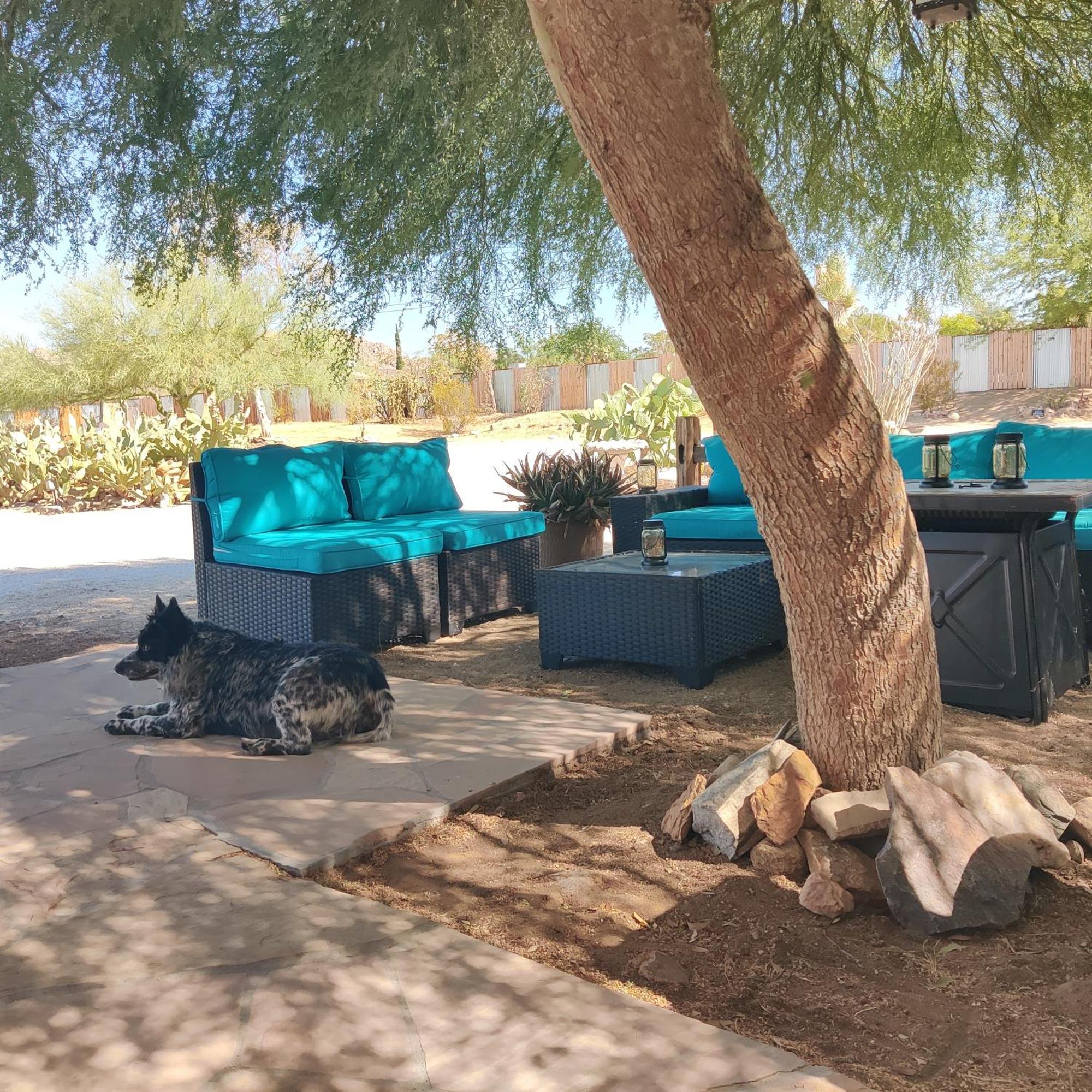 Joshua Tree Ranch House Motel - Downtown - Room #8 ภายนอก รูปภาพ